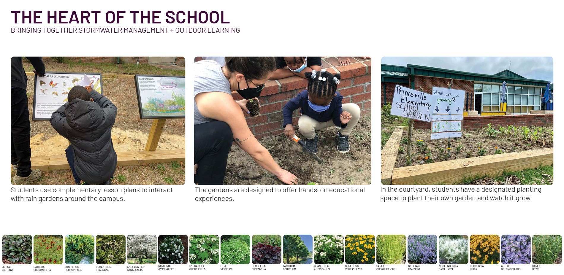 Seeding Resilience Celebrating Community, Education, and the