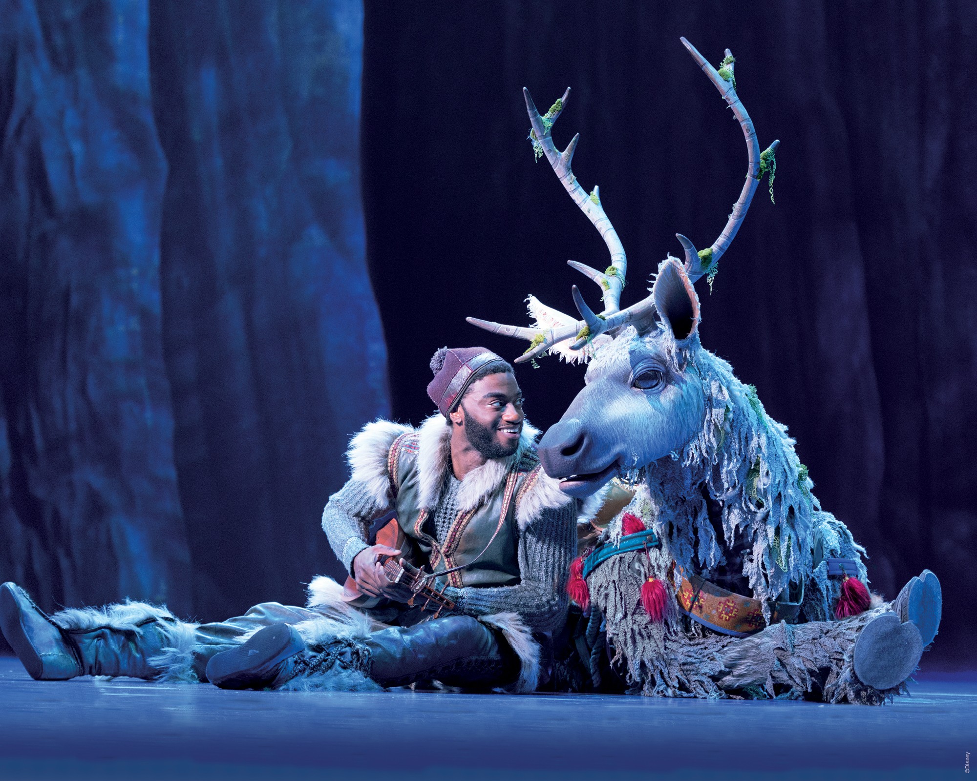 Frozen Broadway Backstage Passes Your VIP Pass