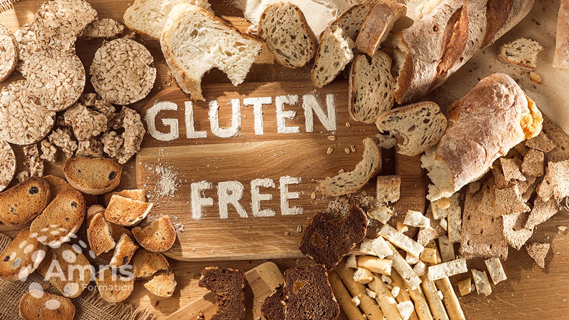 PÂTISSERIES SANS GLUTEN SANS LACTOSE ET PEU SUCRÉES ET CONFECTION DU