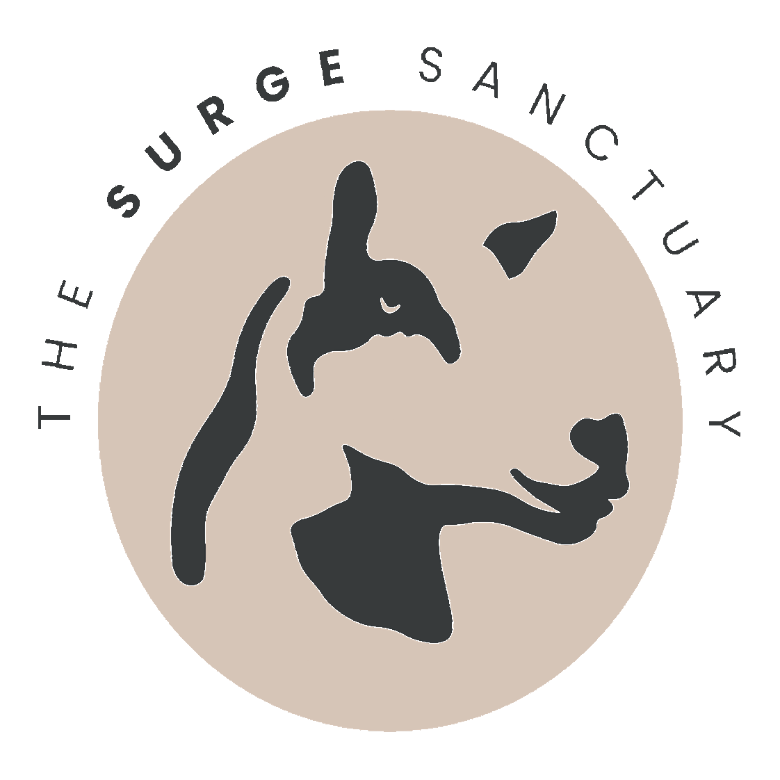 Winter Hay & Straw Fund Surge Sanctuary (Powered by Donorbox)