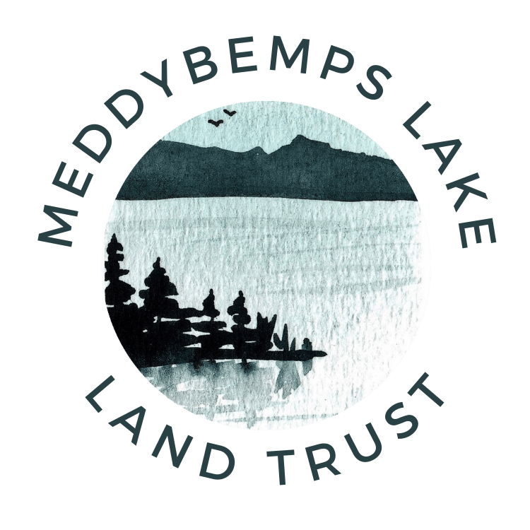 Meddybemps Lake Land Trust Meddybemps Lake Land Trust (Powered by