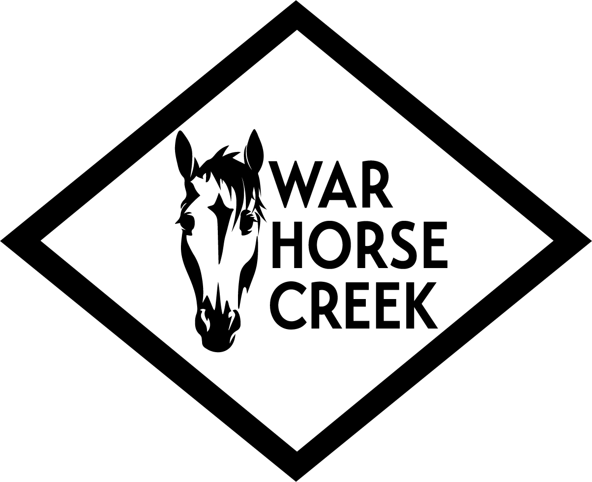 Sponsor the Arabian of War Horse Creek Living Free Animal Sanctuary