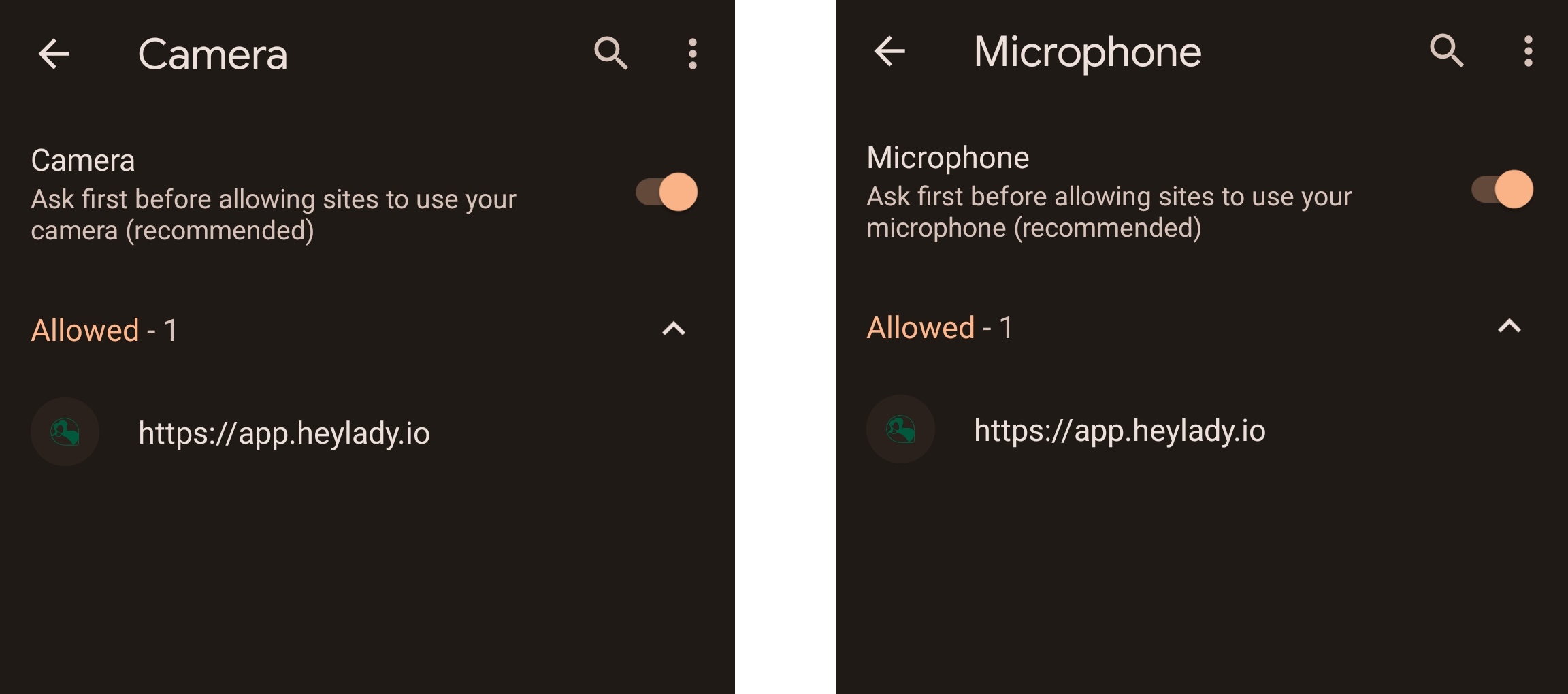 My camera & microphone aren’t working. What should I do?