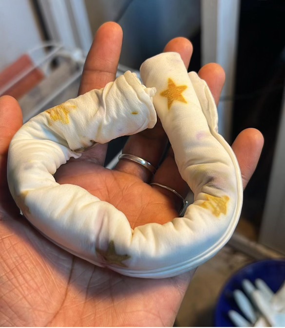 Eco Printing w/ Fatima Janneh Humanitix