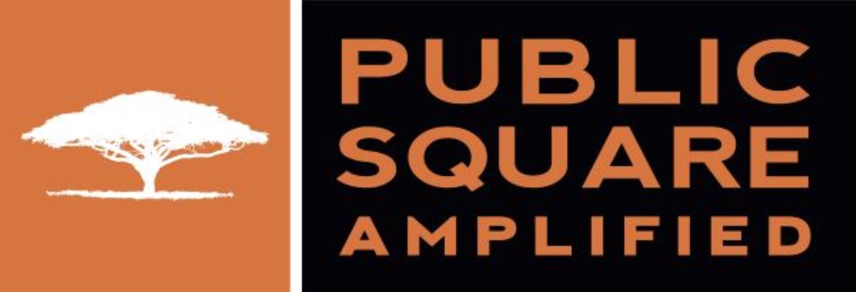 NewsMatch 2023 Public Square Amplified (Powered by Donorbox)