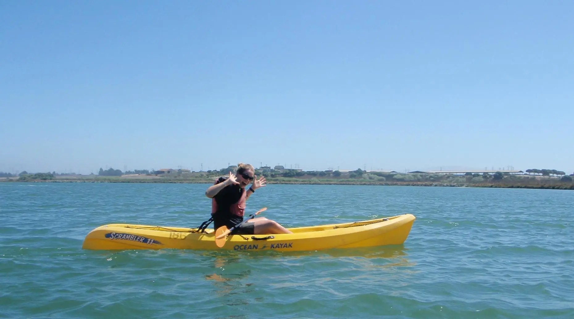 Single SitOnTop Kayak Rental in Safety Harbor in Tampa Book Tours