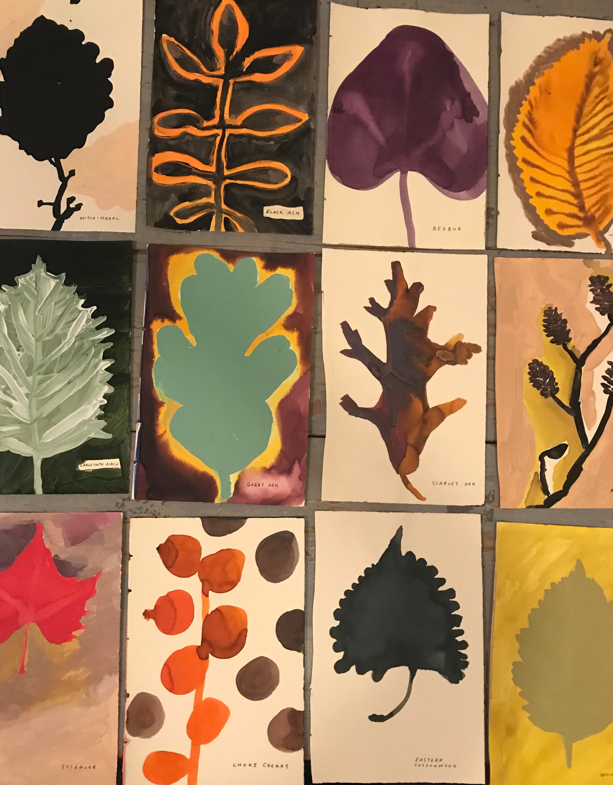 Writer and visual artist Leanne Shapton on balancing personal and