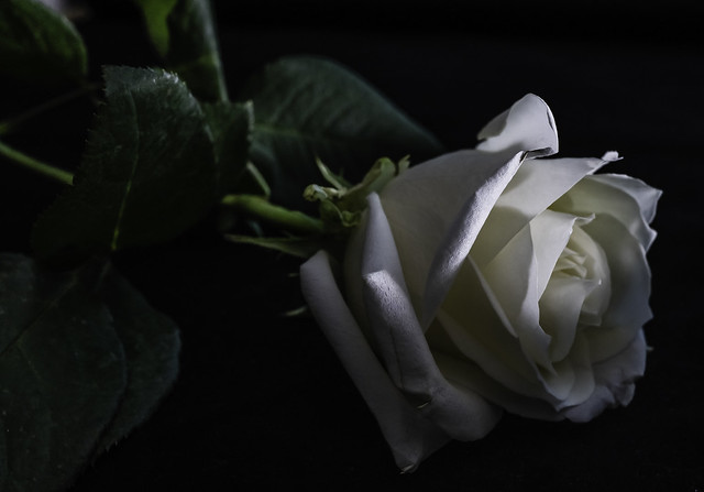 Herlinda P Islava Obituary 2022 Adair's Carroon Mortuary