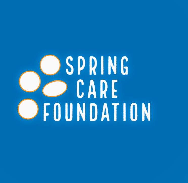 Safe Delivery Support Spring Care Foundation (Powered by Donorbox)