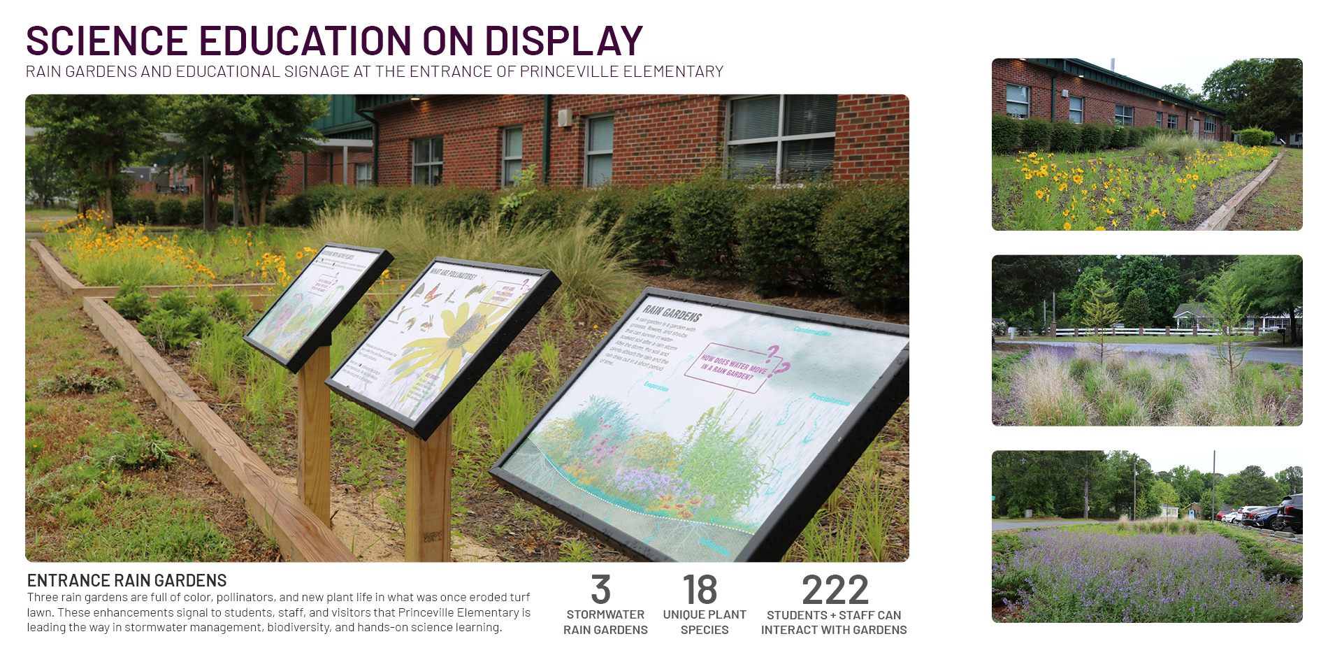 Seeding Resilience Celebrating Community, Education, and the