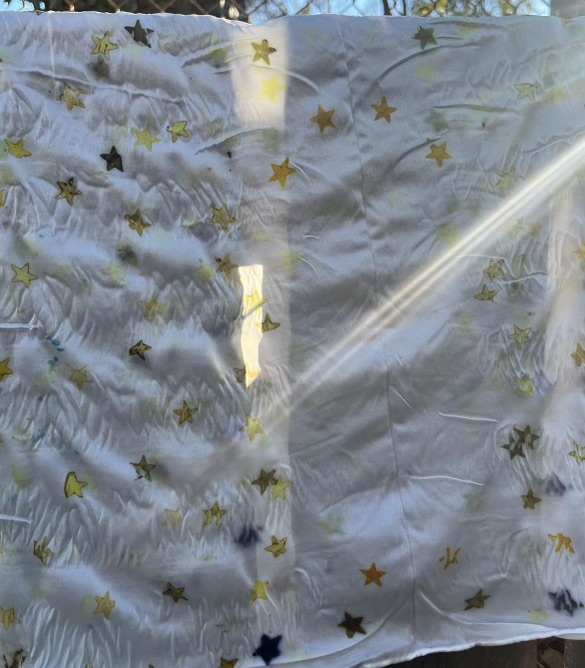 Eco Printing w/ Fatima Janneh Humanitix