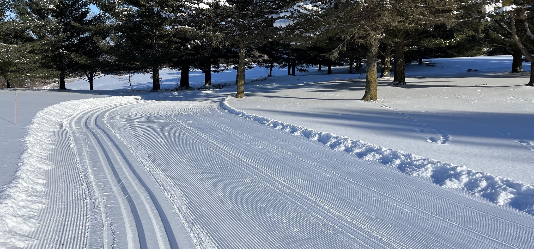 ALLACCESS CXC TRAIL SKI PASS Central Cross Country Skiing (CXC