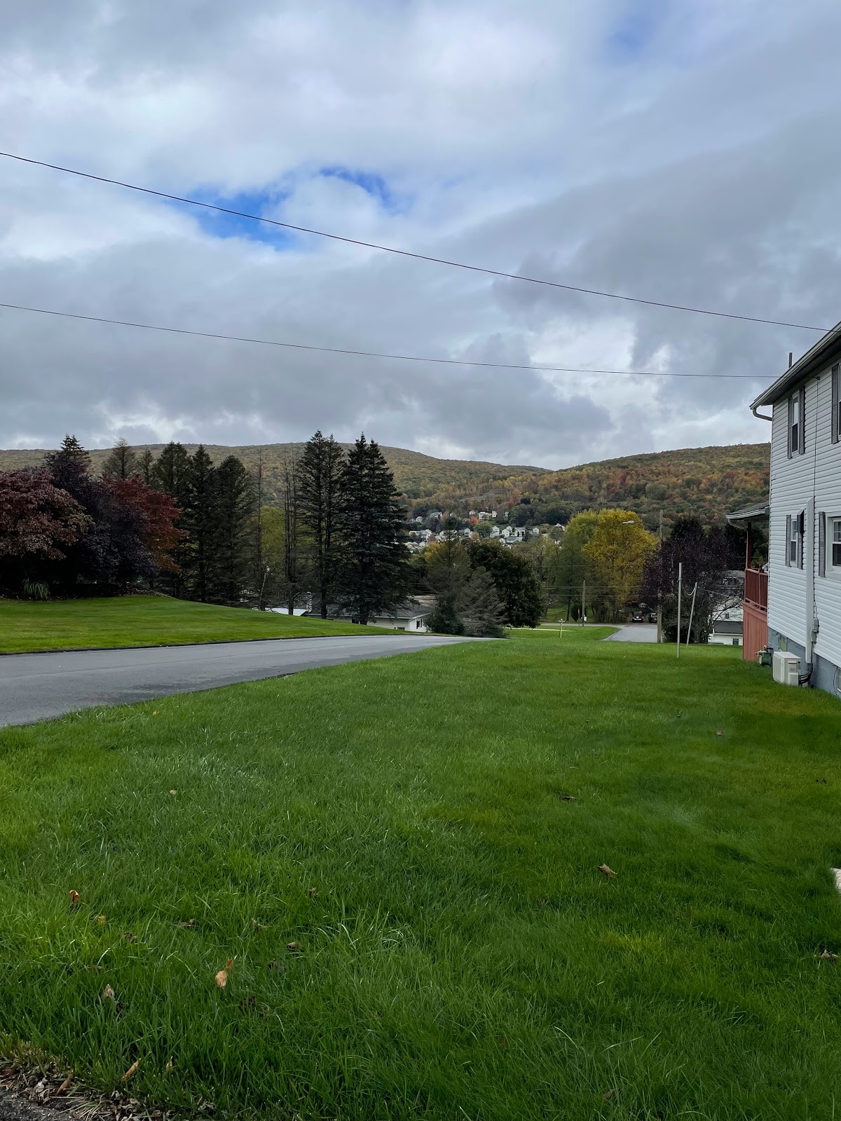 Play Pickleball at Archbald Borough Park Court Information Pickleheads