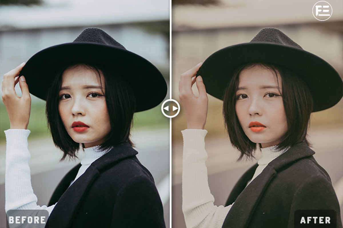 Korean Tones Lightroom Preset/Neutral Tone Inspired Preset FilterGrade