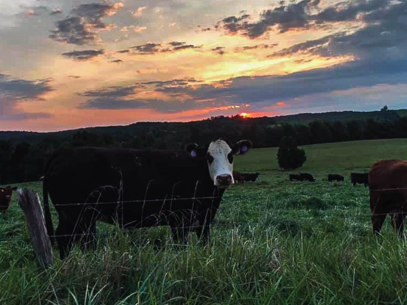 Eldorado Calendar Events July 2023 Photo Contest American Farm Mortgage & Financial Services