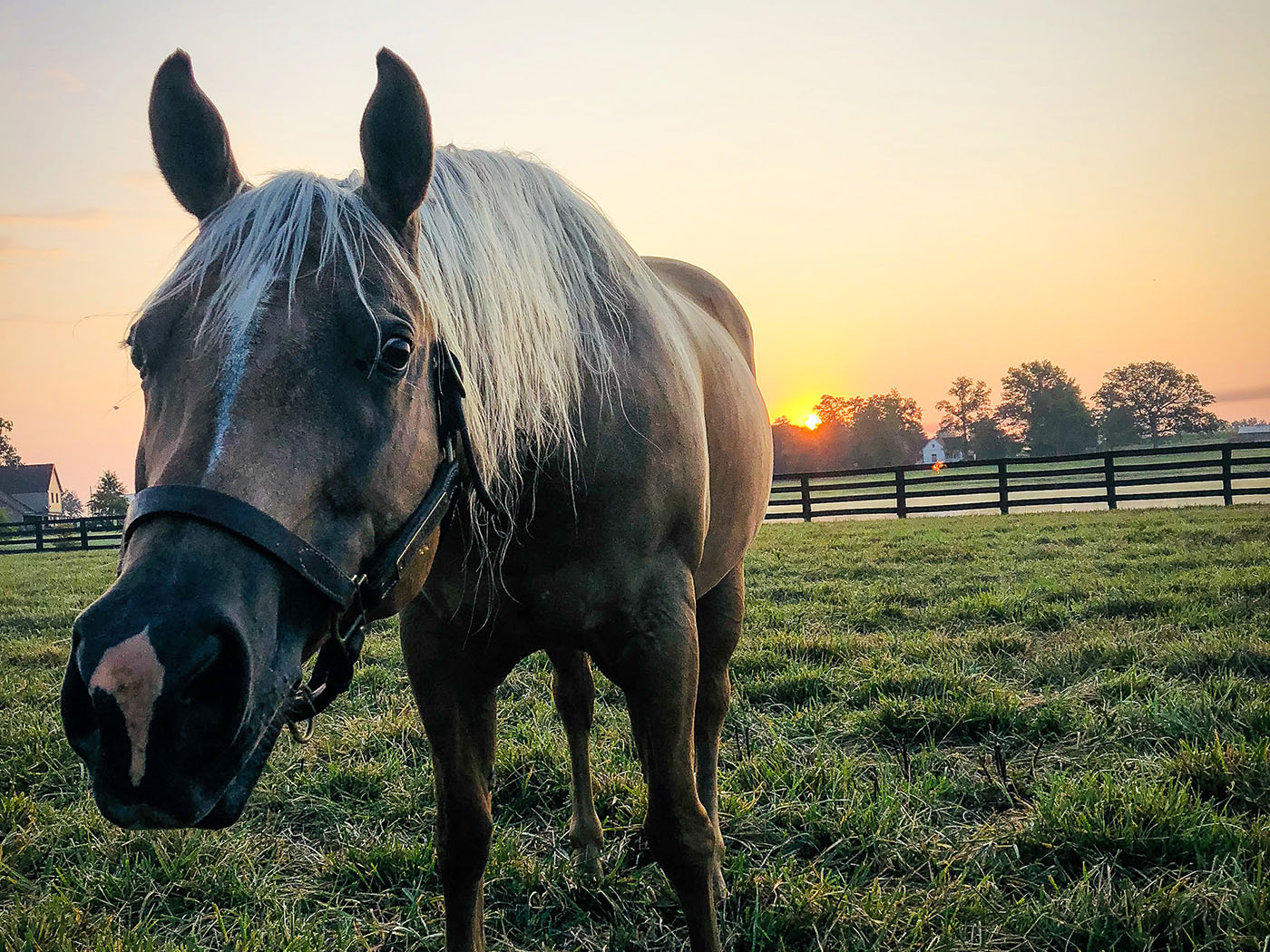 Photo Contest American Farm Mortgage & Financial Services