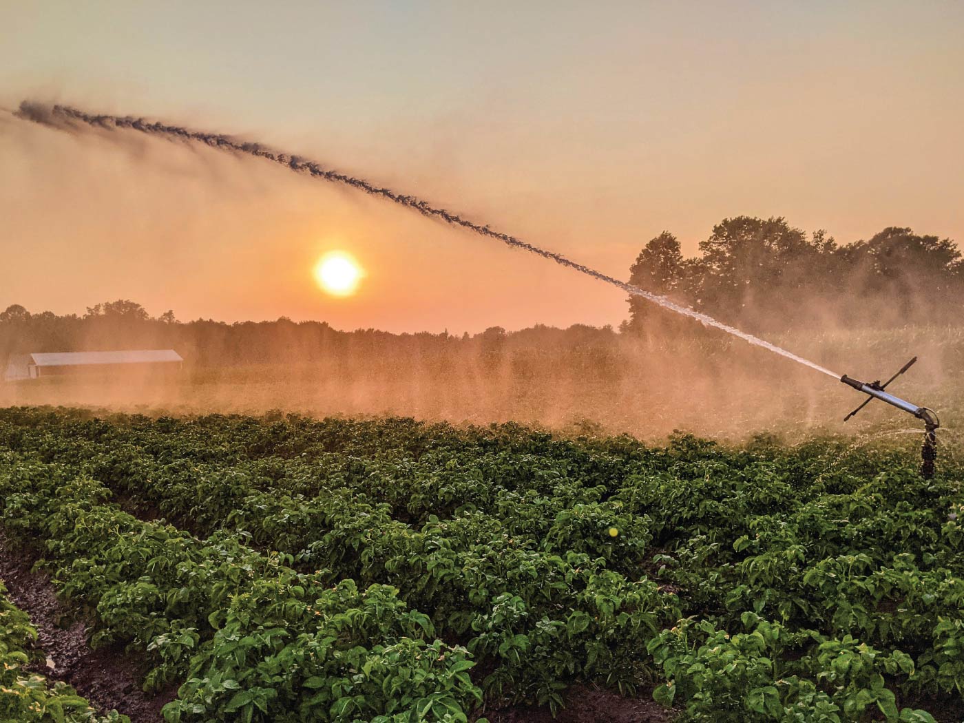 Eldorado Calendar Events July 2023 Photo Contest American Farm Mortgage & Financial Services