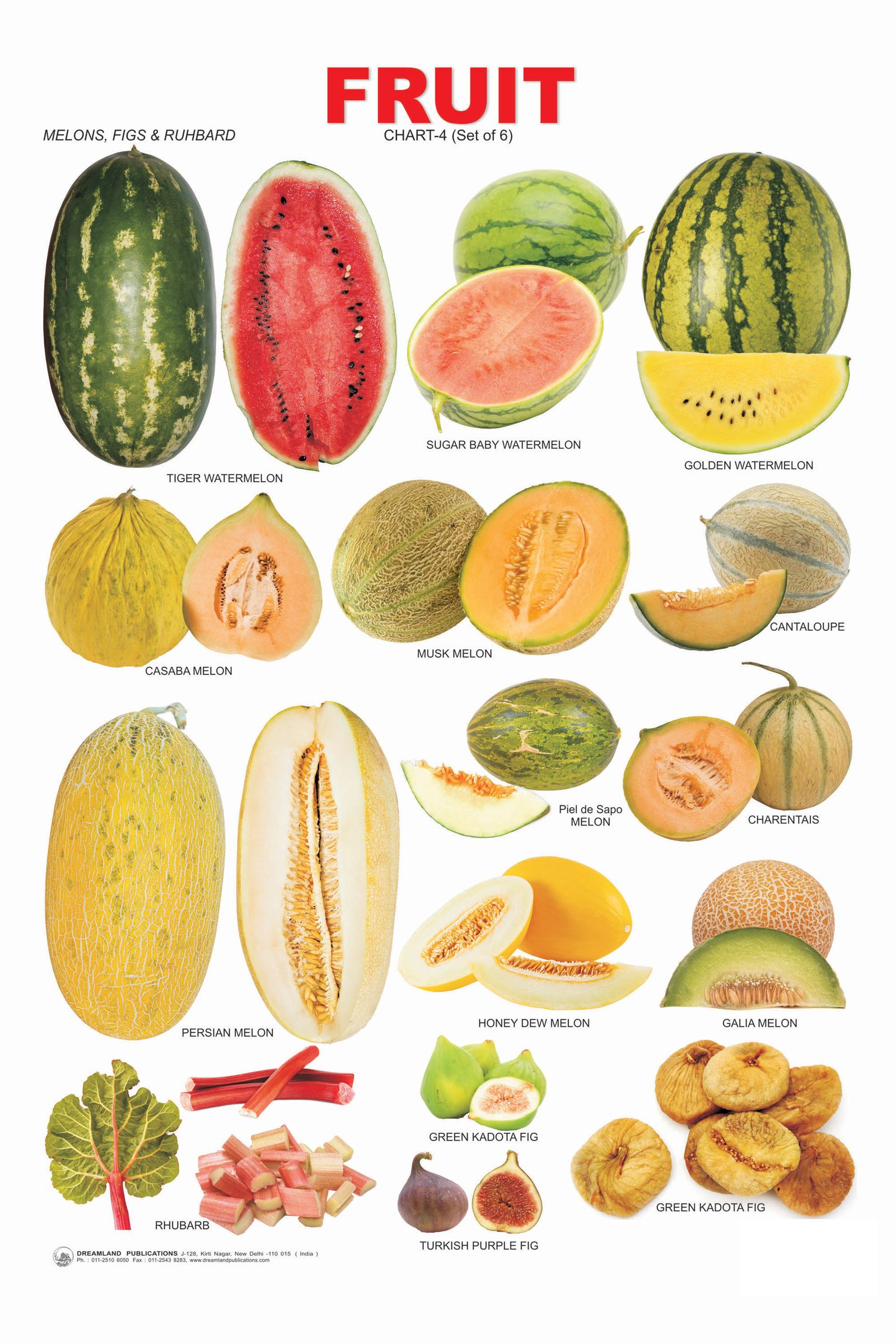 VEGETABLES AND FRUIT LIST NAMES on Pinterest Vegetables