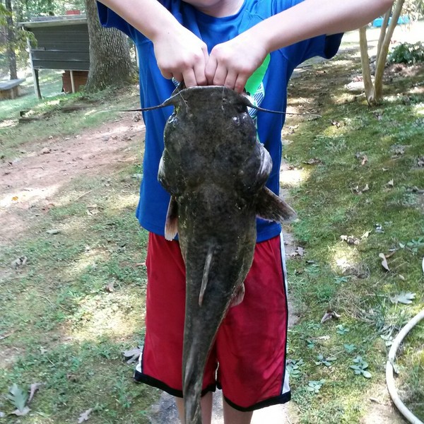 Biggest catches in Lake Lanier