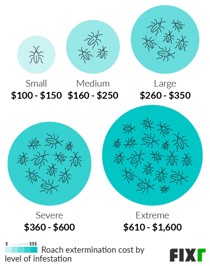 2022 Roach Exterminator Cost Roach Treatment Cost
