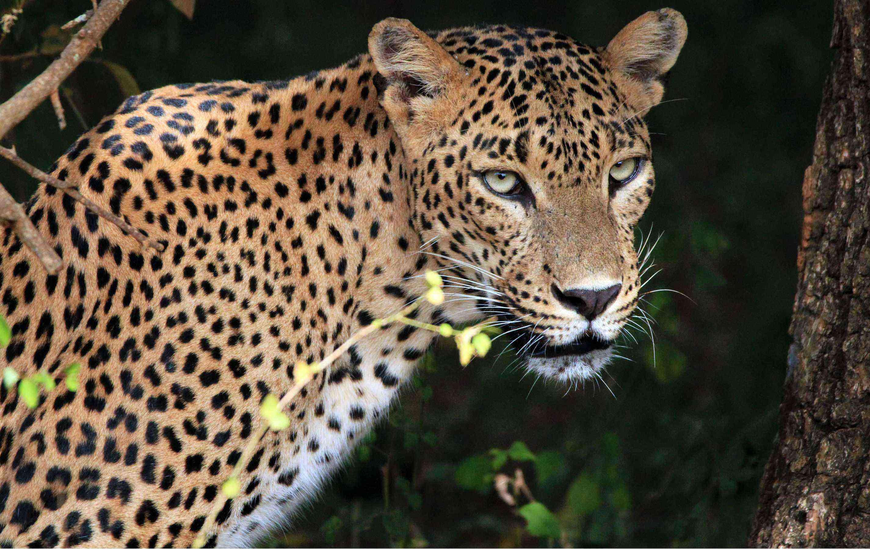 These Are the 10 Experiences You Should Have if You Want to See