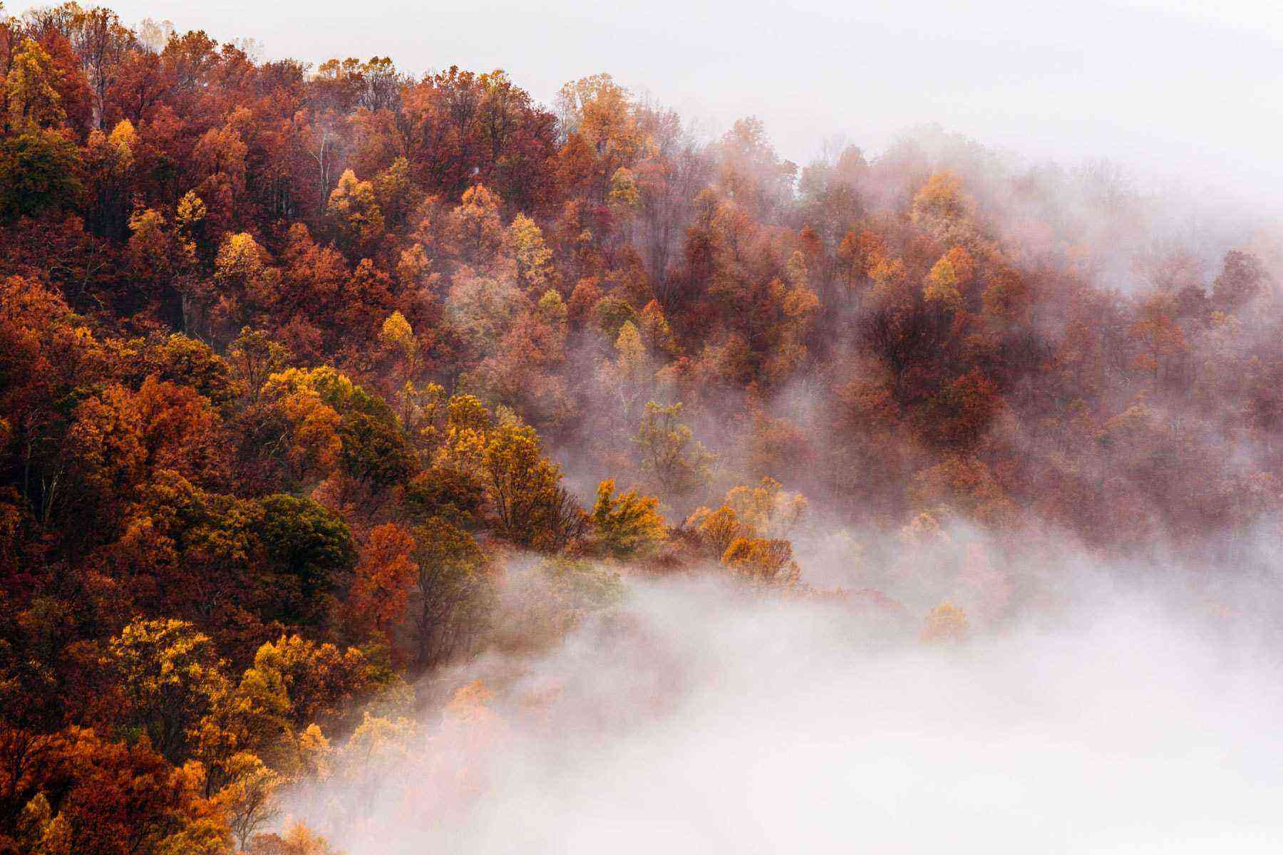15 Places Around the World to See Fall Foliage Fodors Travel