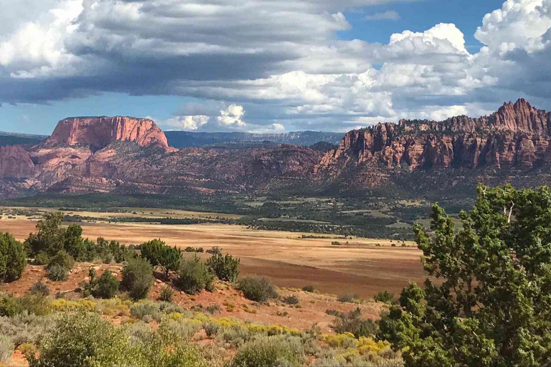 A TwoFaced Heaven The Zen and Menace of Zion National