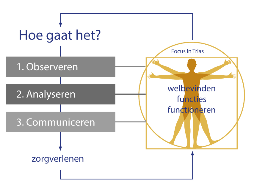 Klinisch Redeneren - Vumc Academie #4