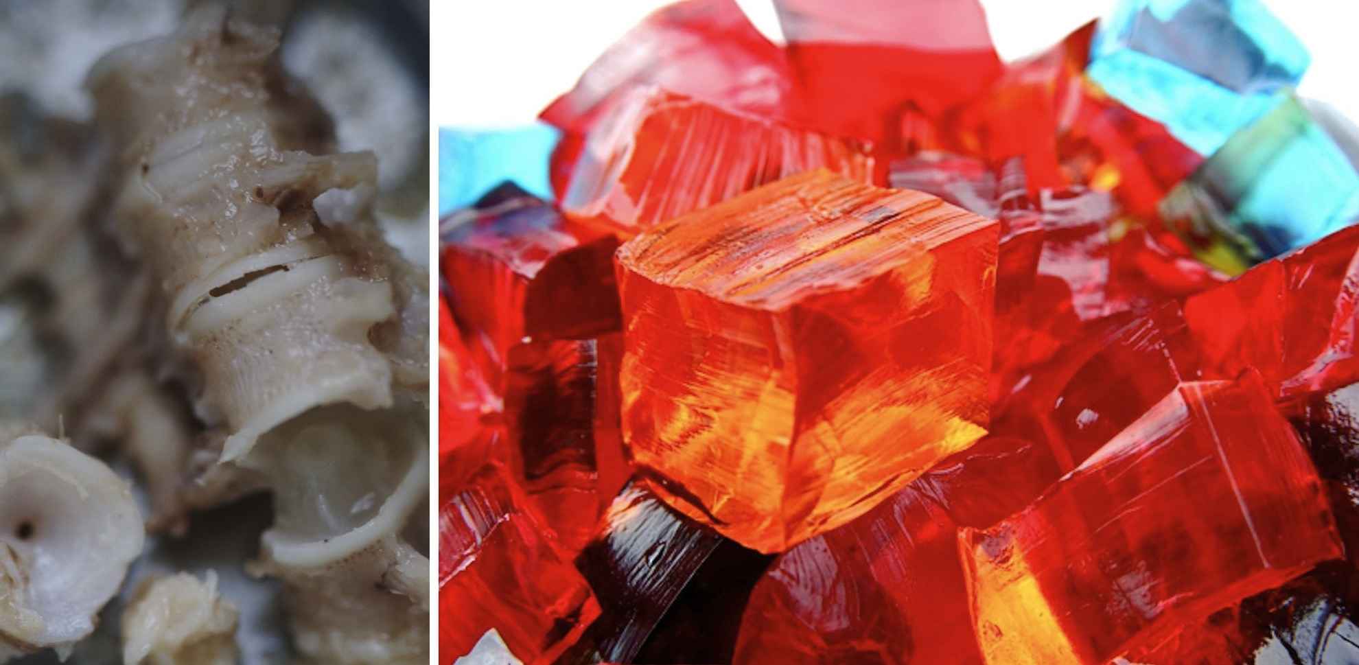 Bugs, Butt, and Other Weird Food Additives You've Probably Eaten Today