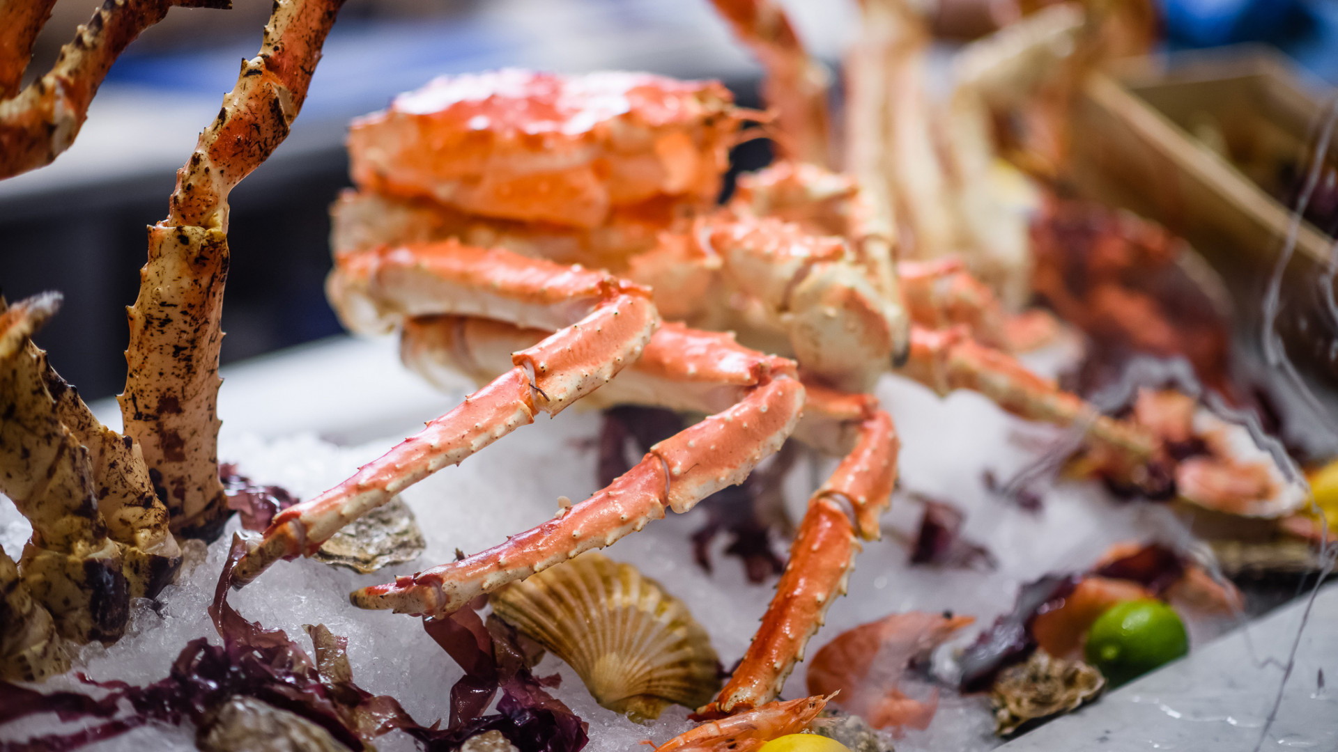 The most 'extra' restaurants to eat and drink at in London Foodism