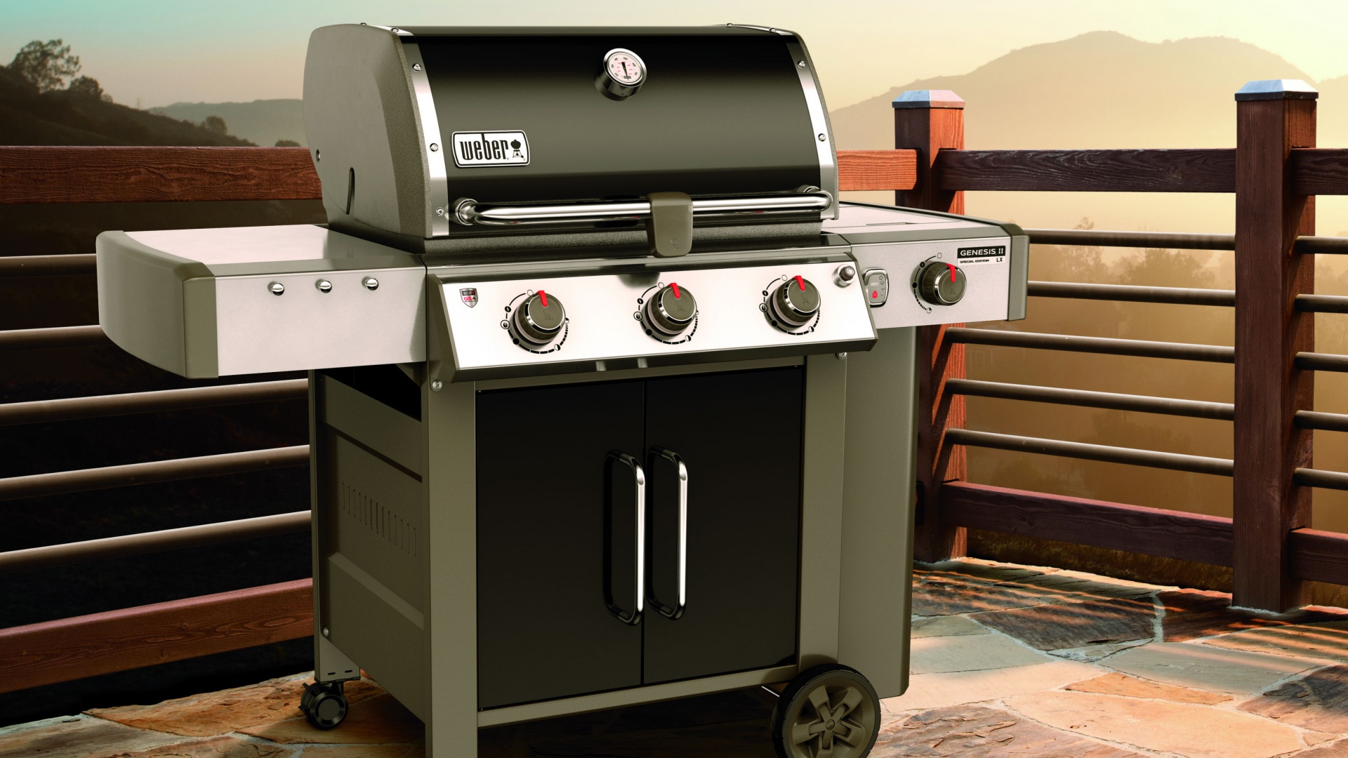 Weapons Of Choice Weber Genesis Ii Series Foodism To