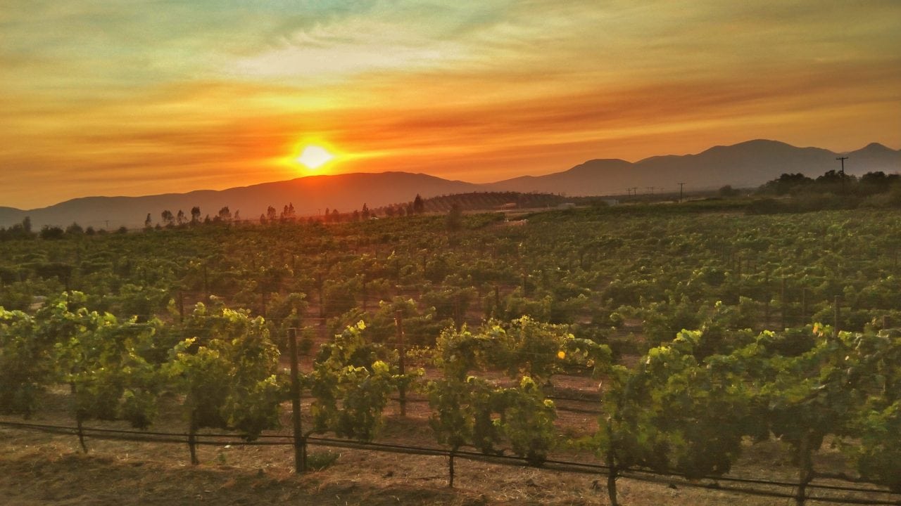 Qué hacer 48 horas en... el Valle de Guadalupe, en Ensenada