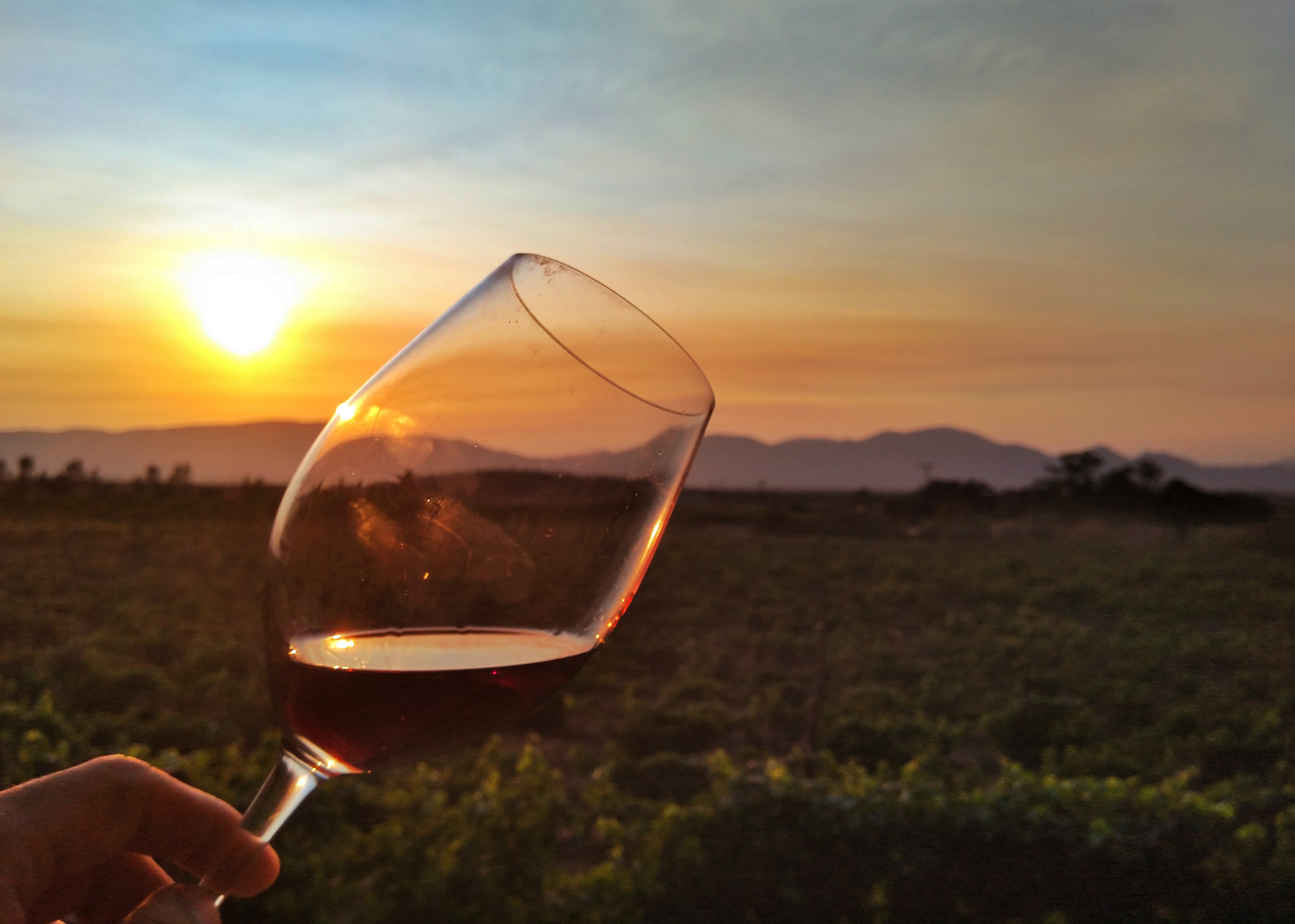 Arriba 76+ images clima en valle de guadalupe ensenada Viaterra.mx