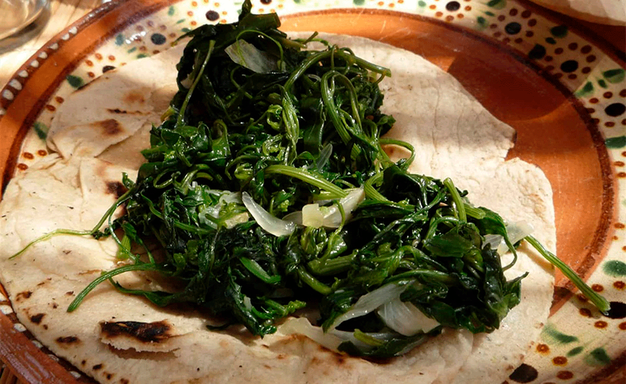 Comer quelites te ayudará a prevenir la gastritis UNAM • Actualidad