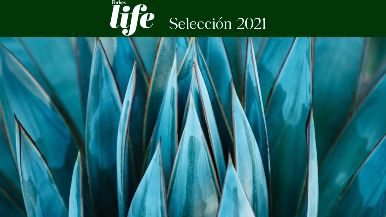 5 tequilas blancos que no puedes dejar de conocer