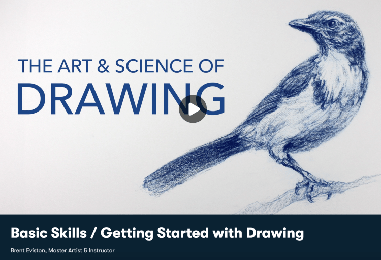 Master Your Skills With 15 Free Online Drawing Courses & Classes The