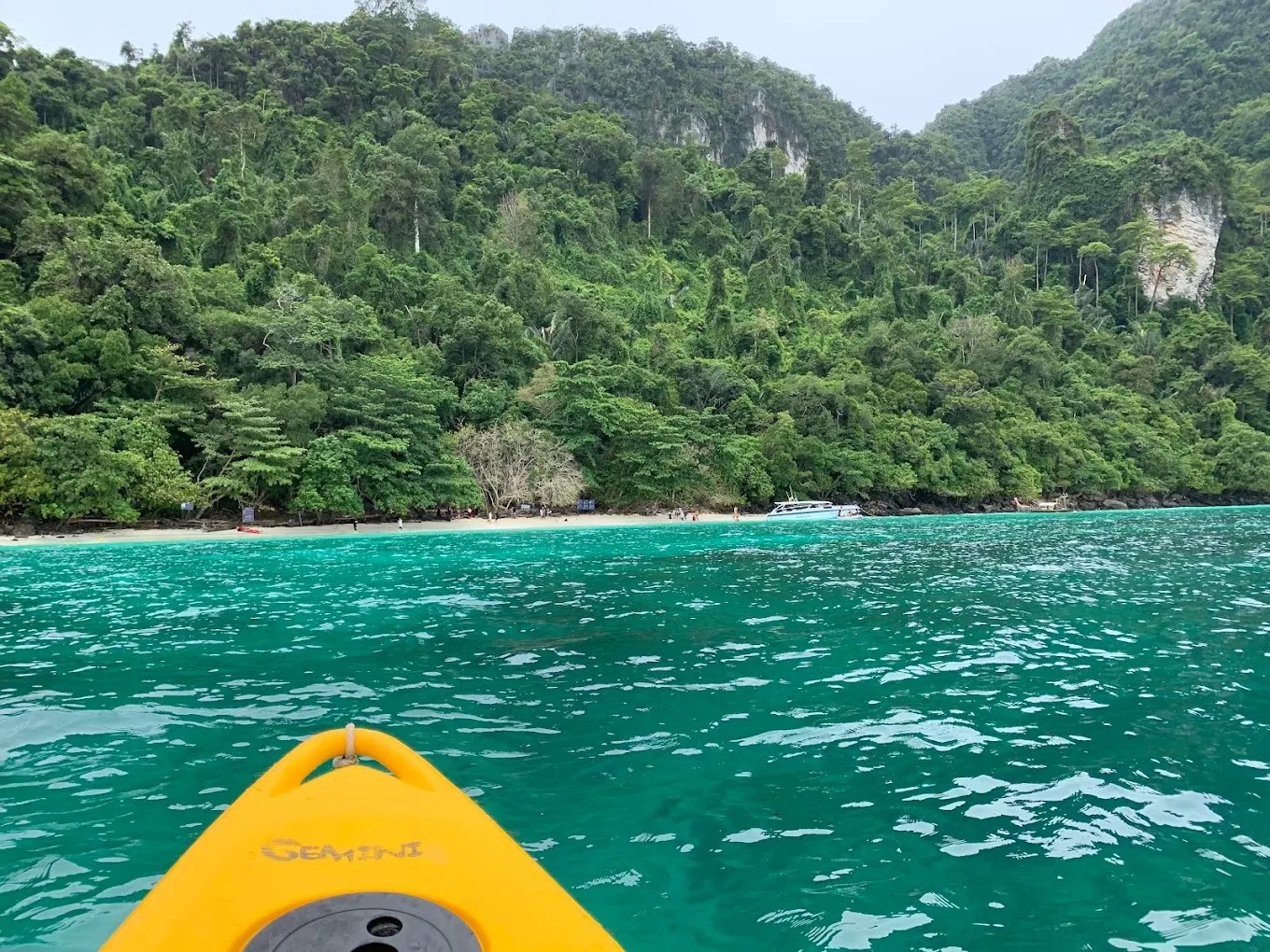 Monkey Beach Entrance Fee, Opening Hours & More