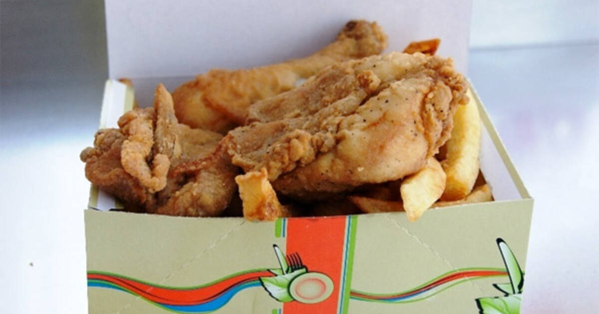 Is Fried Chicken Skin Good For Dogs FourWayMemphis