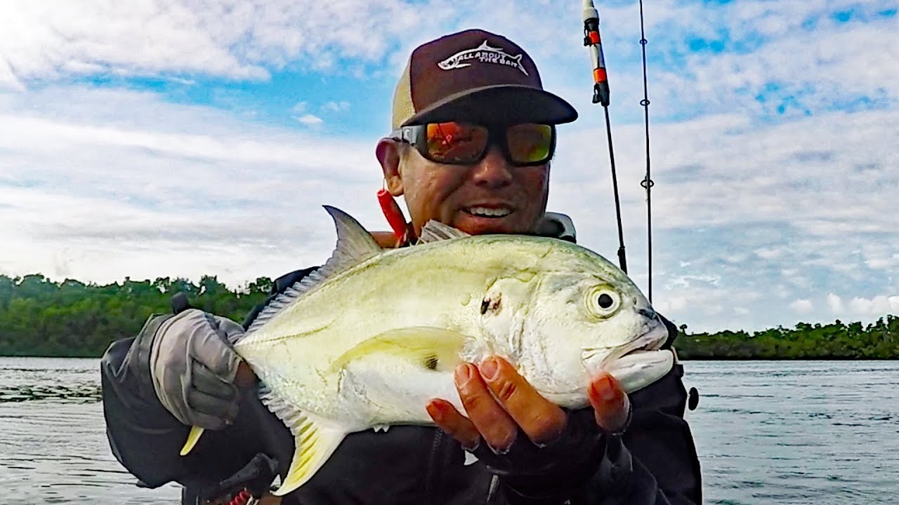 Types Of Fried Fish In The Dominican Republic FourWayMemphis