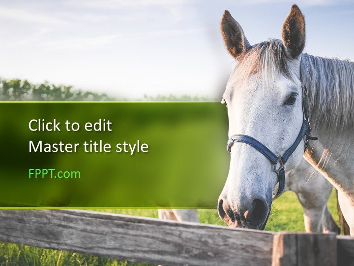 Free Horse PowerPoint Template Free PowerPoint Templates