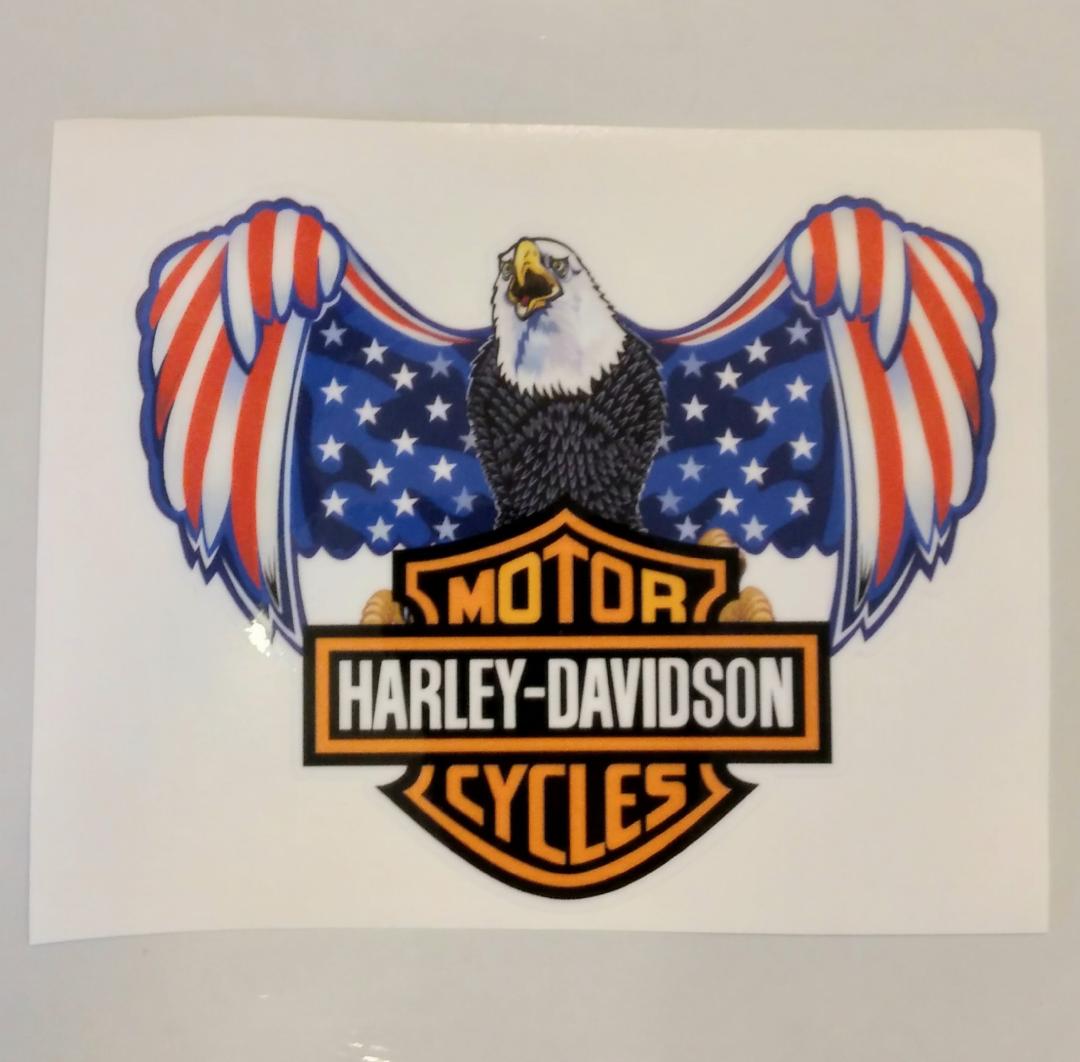 USA Eagle Motorcycle Decal / Bumper Sticker / American Stickers / Cycle