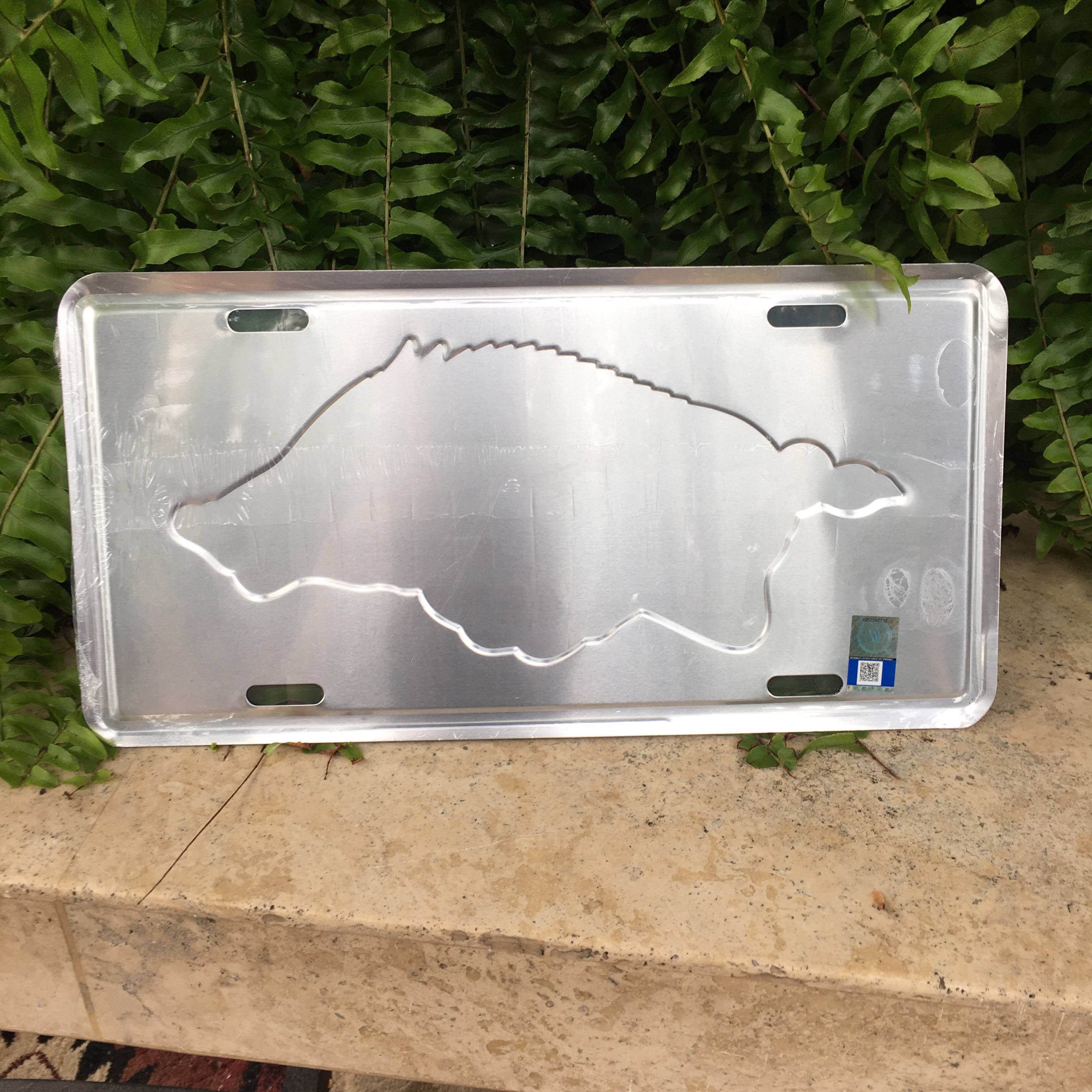 Arkansas Razorbacks License Plate / University of Arkansas Vanity Plates