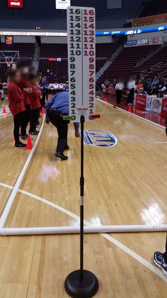 Indoor Bocce Court Kit Package