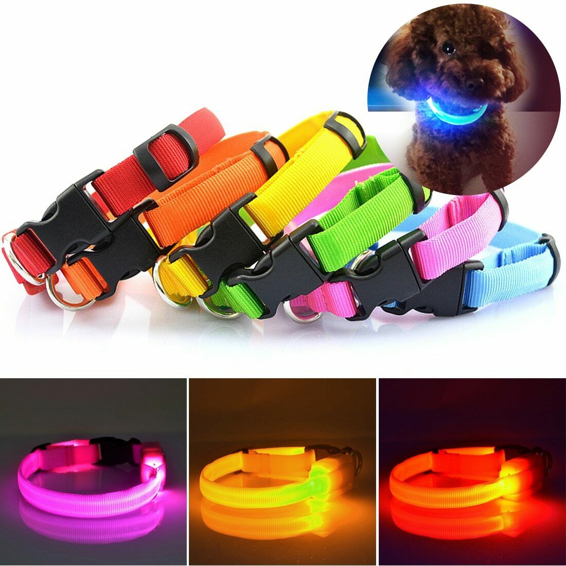LED Dog Collars