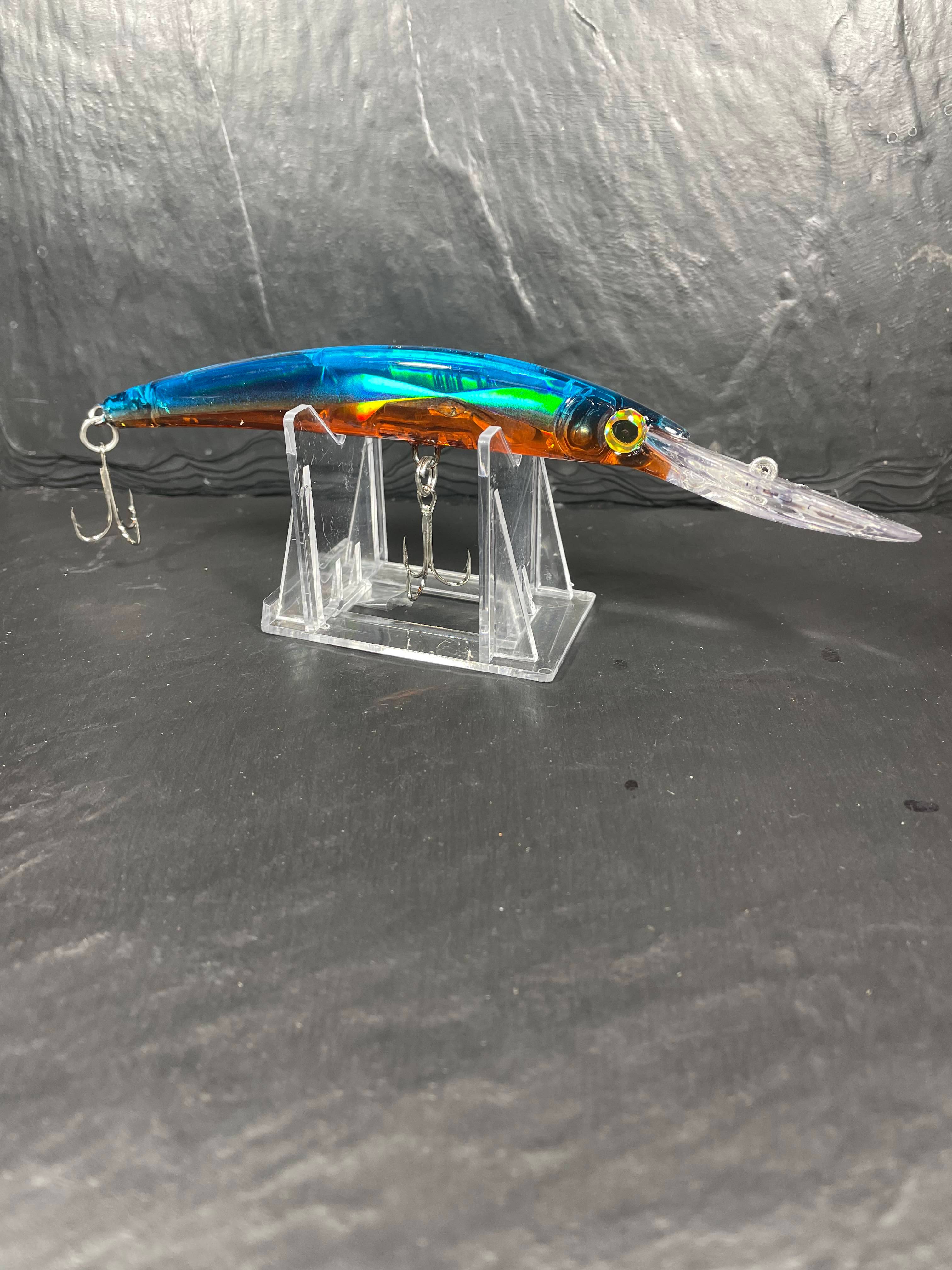 Copper Blues Royal Palm at Amy Walters blog