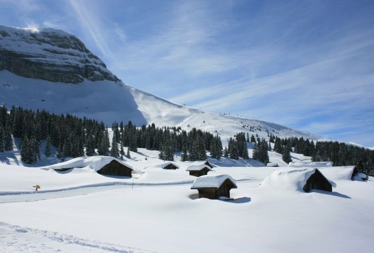Skigebiet Axalp Brienz Bern Wintersportort Freizeit.ch