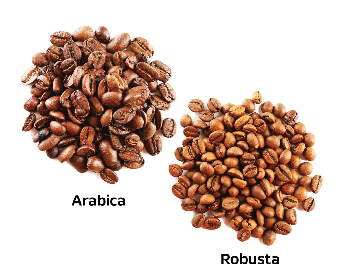 NESCAFÉ Coffee FAQs