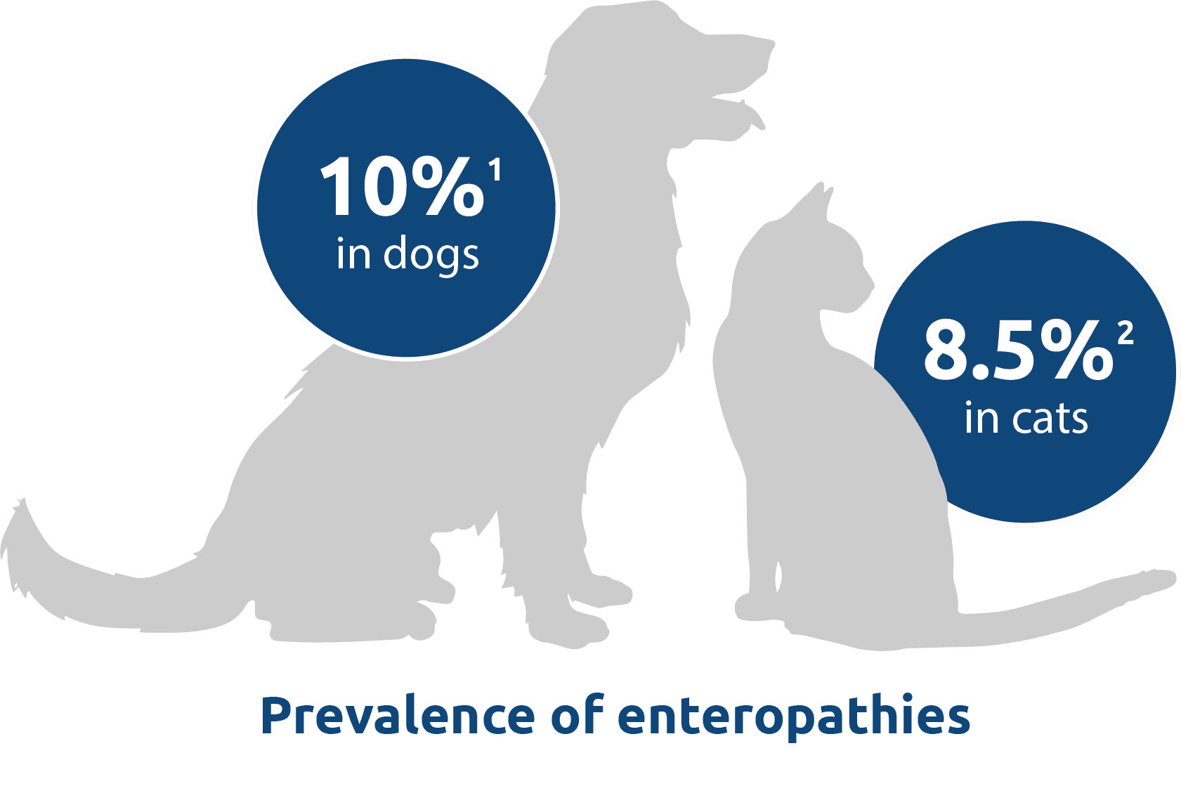 Supporting canine & feline gastrointestinal health (part one) a guide