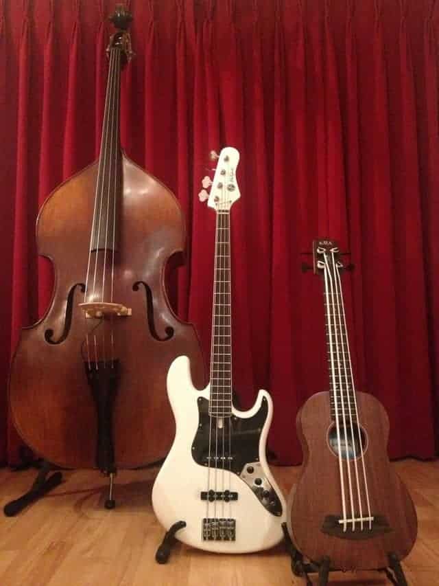 Difference Between Double Bass And Guitar at Paul Hoose blog