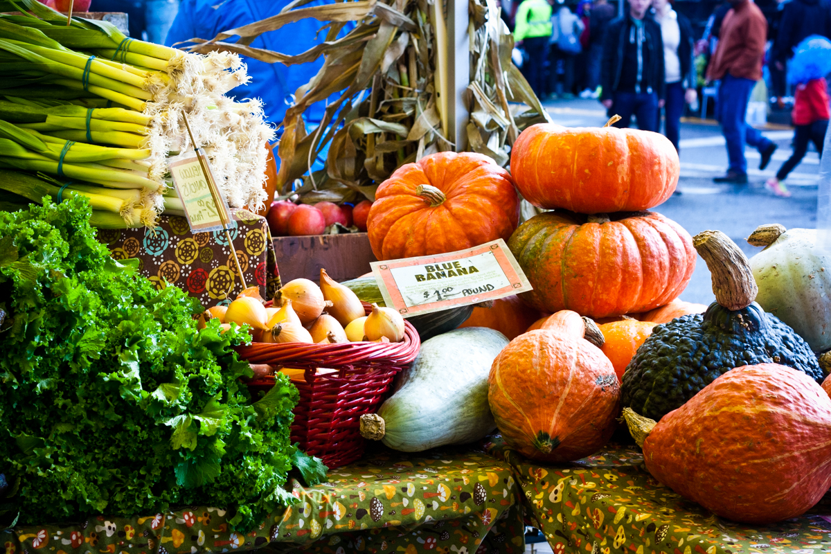 PreThanksgiving Farmers Market Day Ferry Building